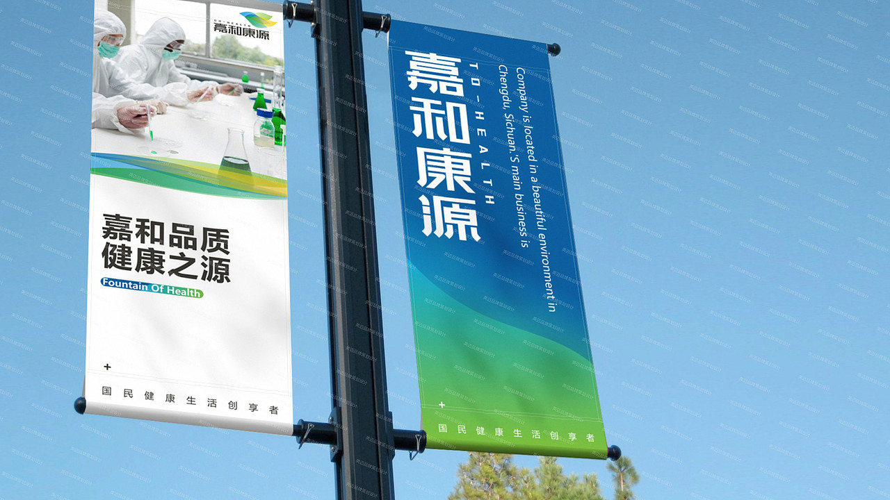 成都医药品牌策划设计\医疗logo\vi设计包装设计