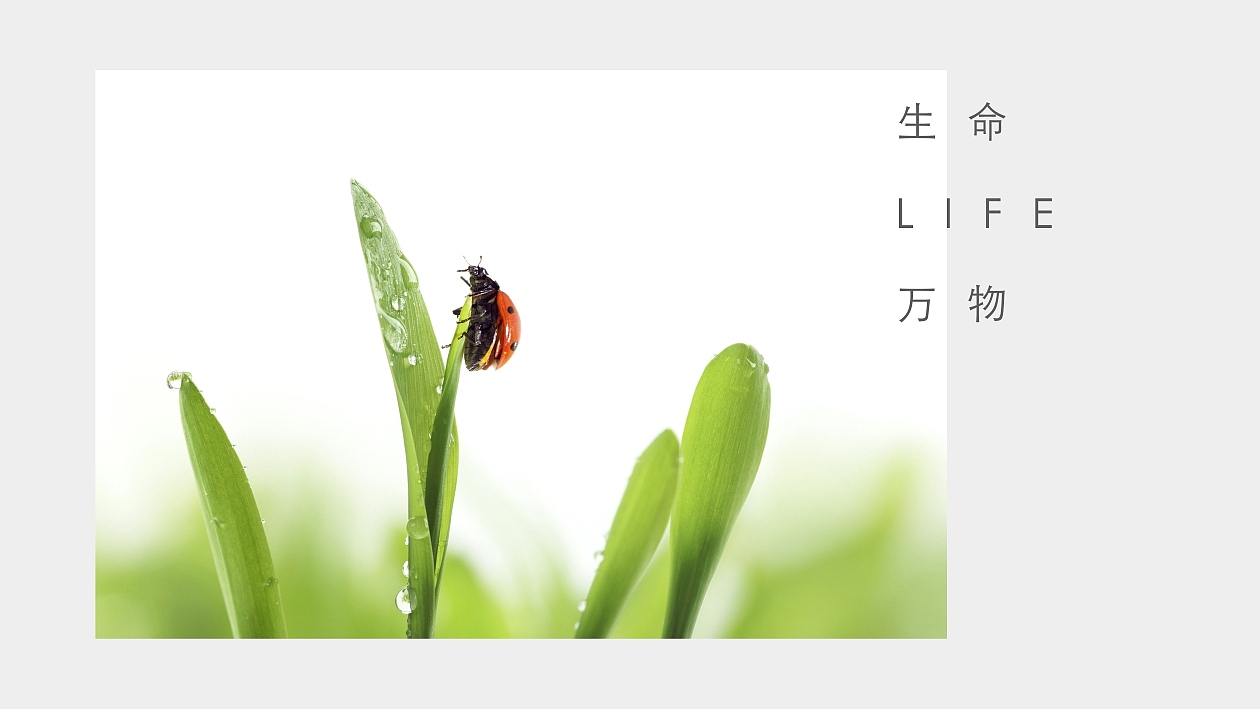 物业logo创作（图ZMTEyNjMzMjIw） - Logo - 站酷设计师小李不会镖原创素材 - 站酷ZCOOL