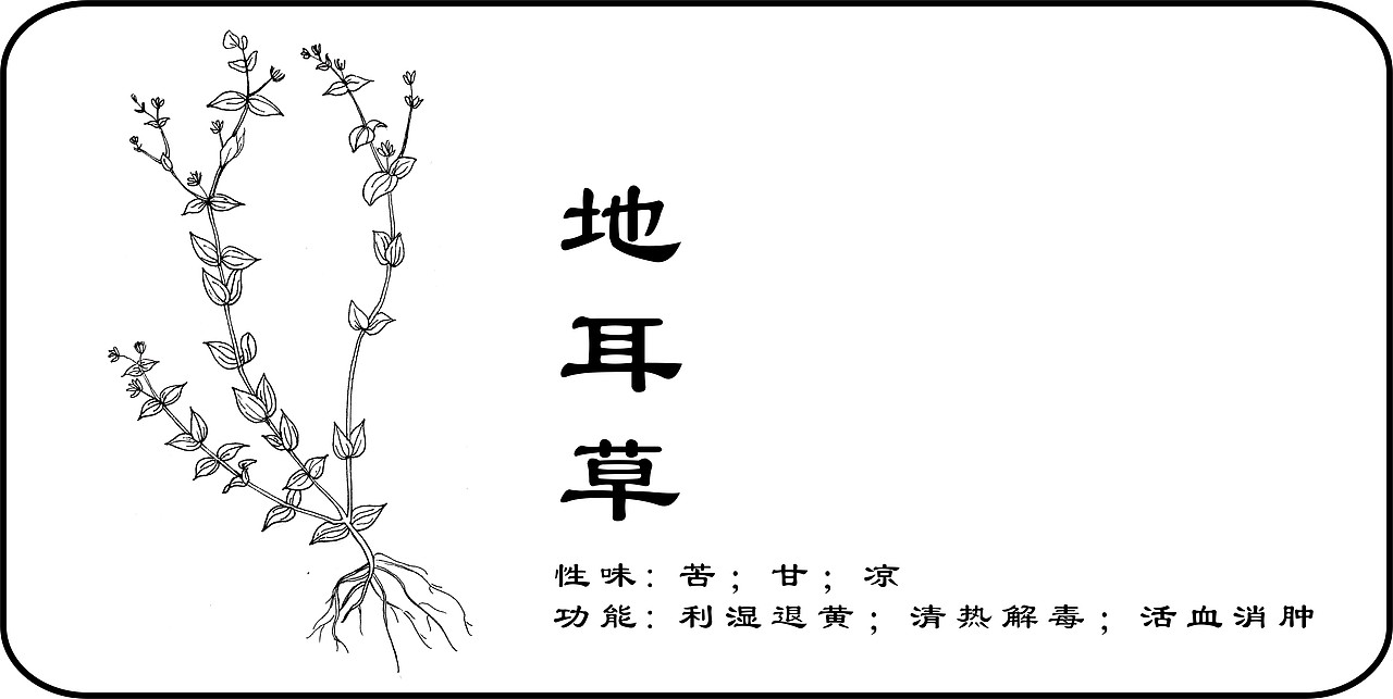 中草药手绘标示（图ZMzY3Mjk2OTI=） - 创作习作 - 站酷设计师一二零七原创素材 - 站酷ZCOOL