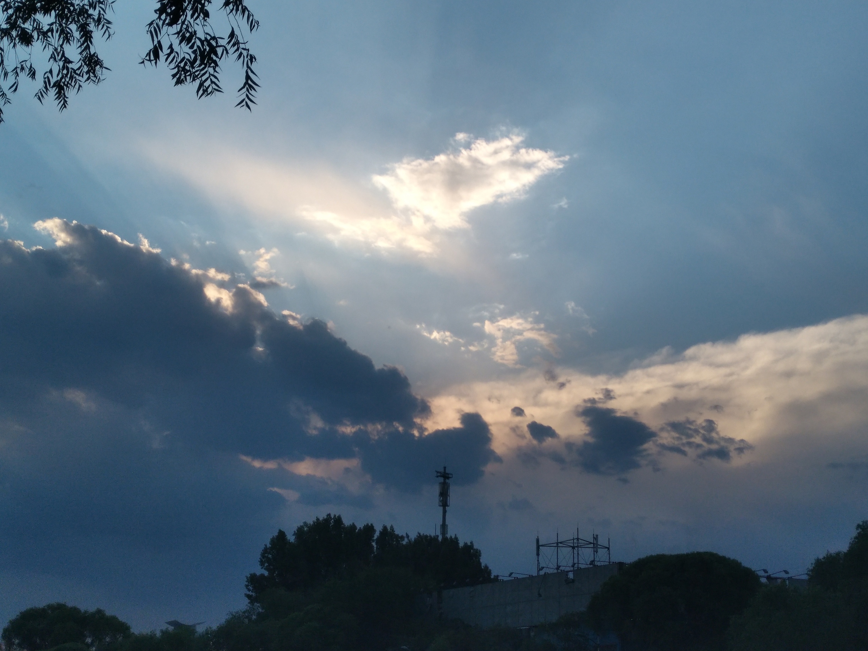 日常拍摄未修图