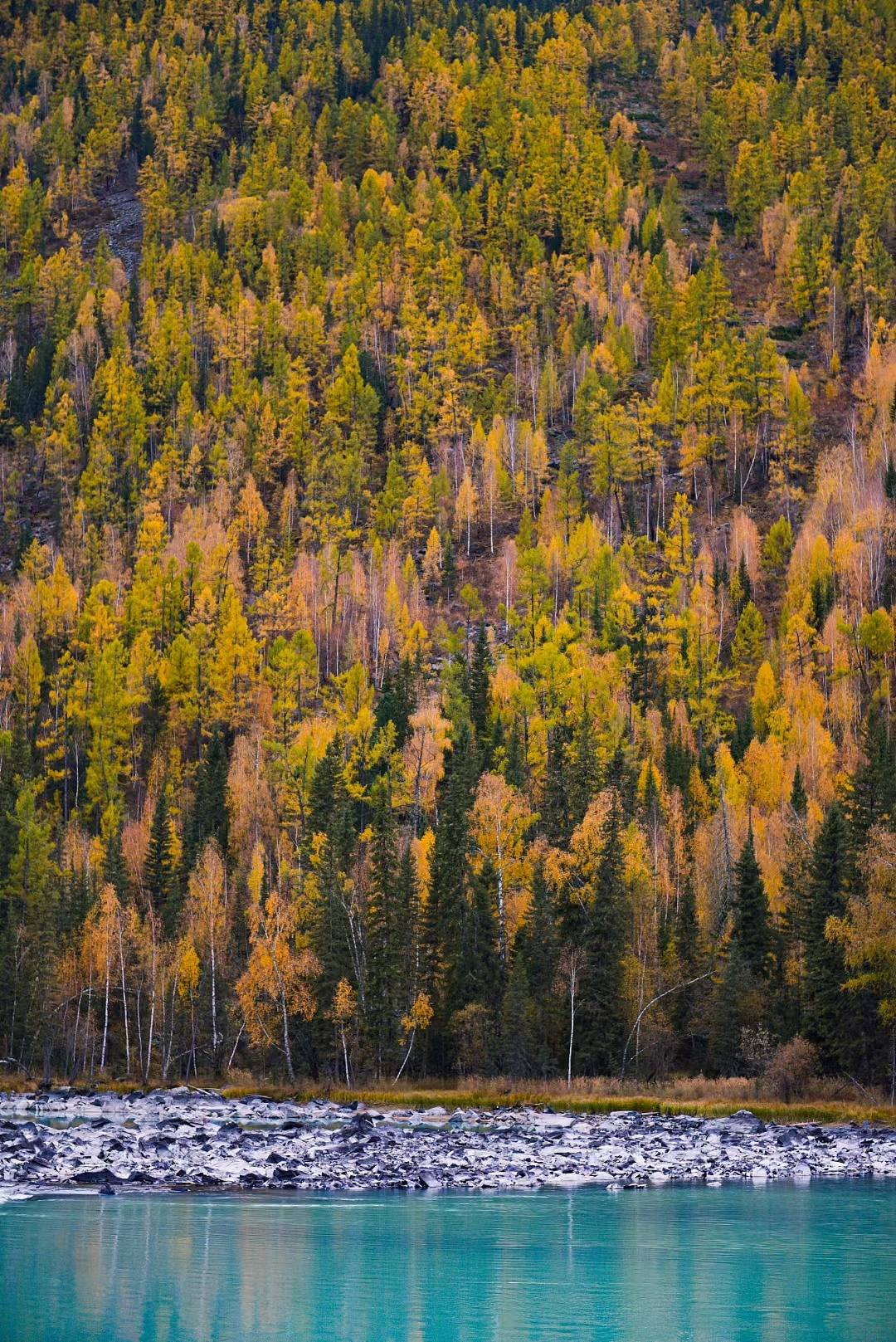秋天的童话（图ZMjc0MDMzMzc2） - 风光摄影 - 站酷设计师三月say原创素材 - 站酷ZCOOL
