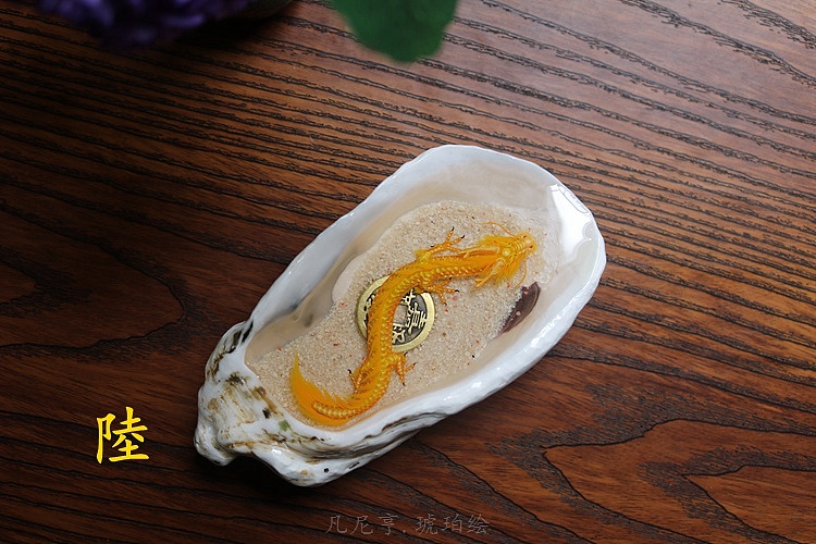 生蚝壳里面的小金龙
