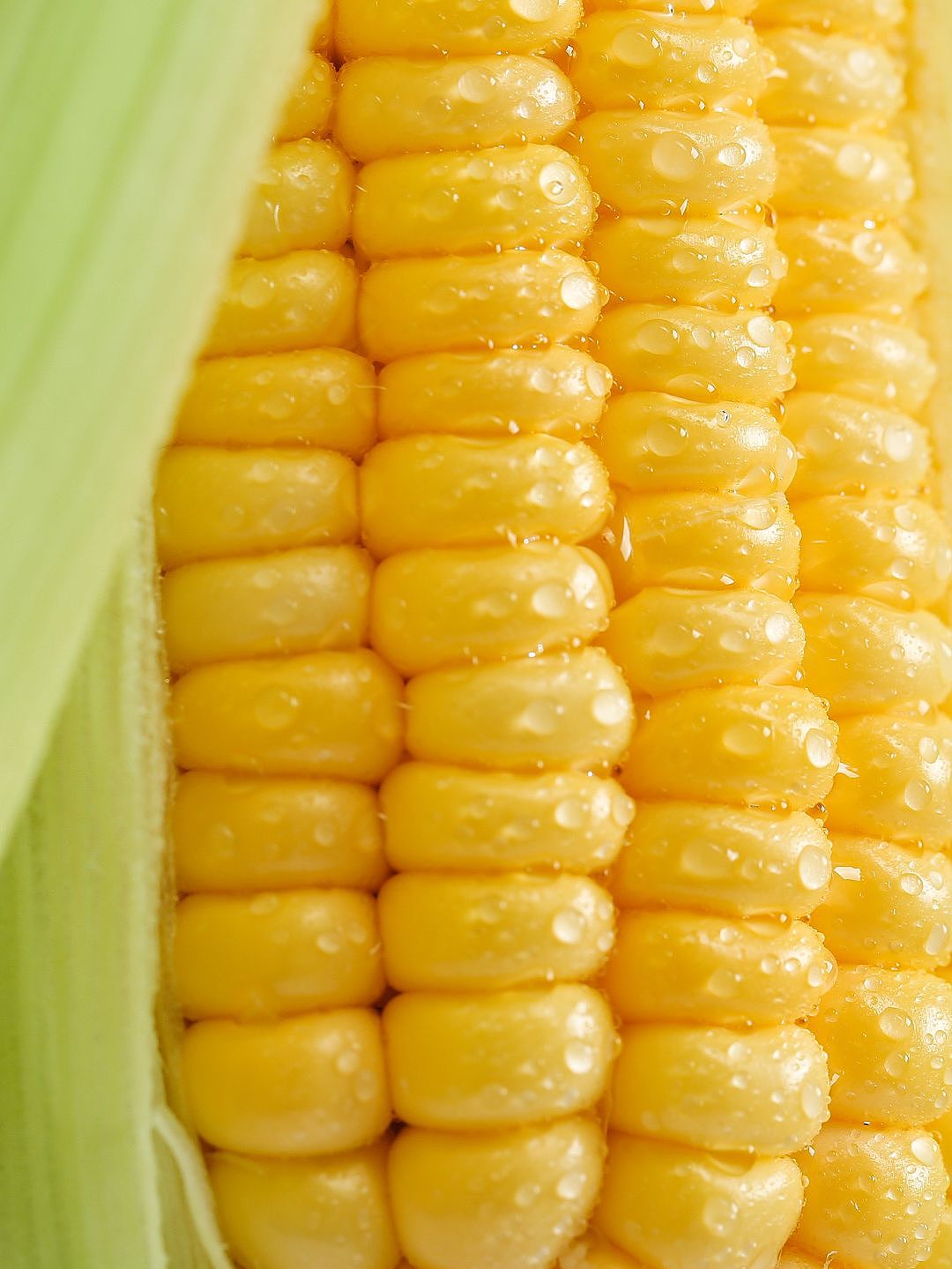 🌽玉米拍摄 I 这个配色绝绝子（图ZMzY1NjcyOTY4） - 产品摄影 - 站酷设计师刻影计划原创素材 - 站酷ZCOOL