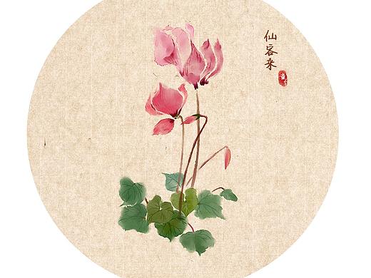 仙客来（水彩）