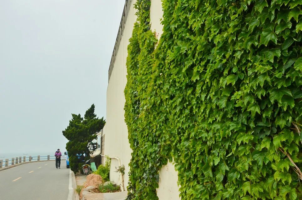 青岛海边随心拍