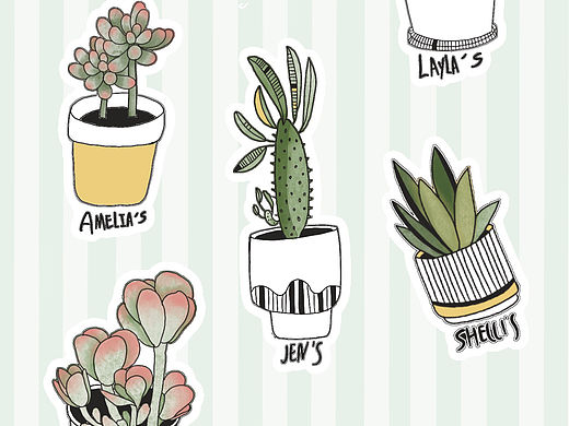 多肉植物贴纸