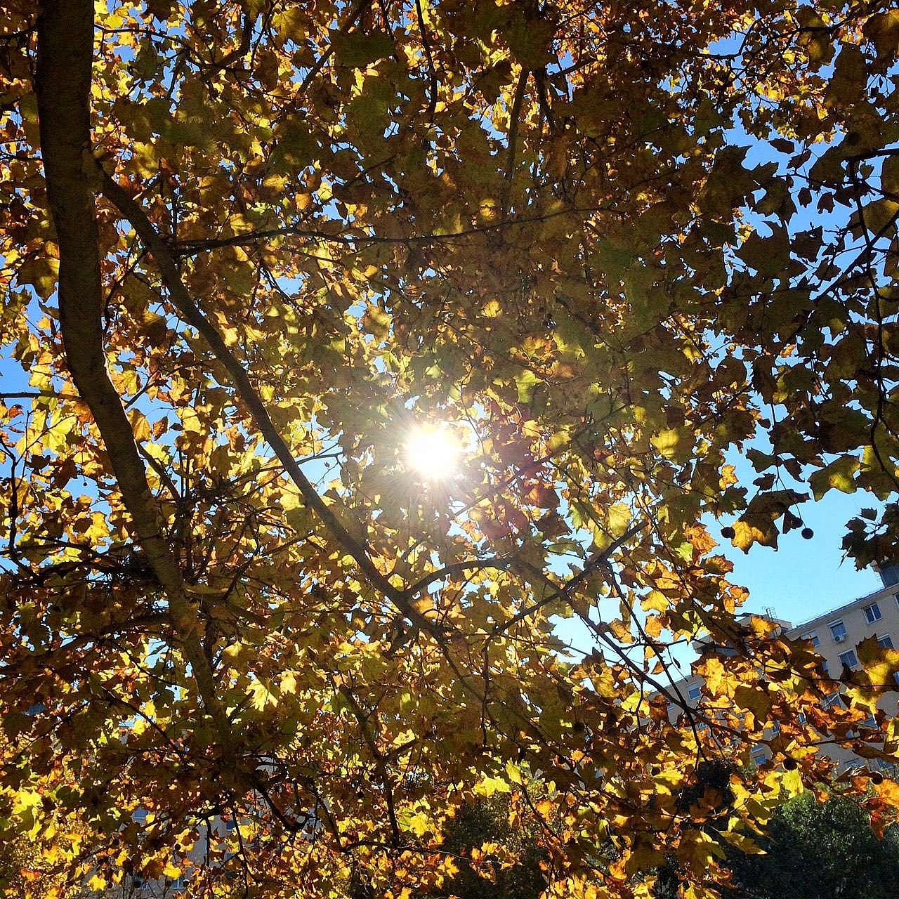 手机摄影-浙江地区为主