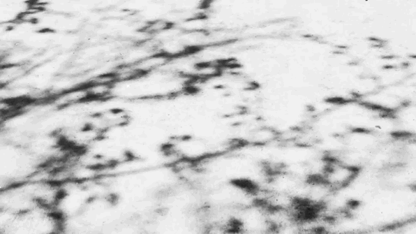 层峦叠嶂的摇曳