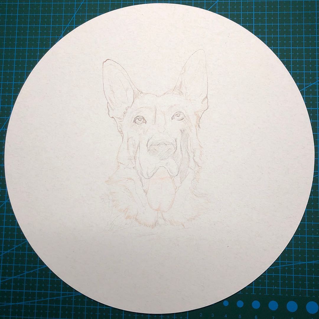 彩铅狗（图ZMjA2MzUzMTgw） - 绘画 - 站酷设计师Z雪梅原创素材 - 站酷ZCOOL