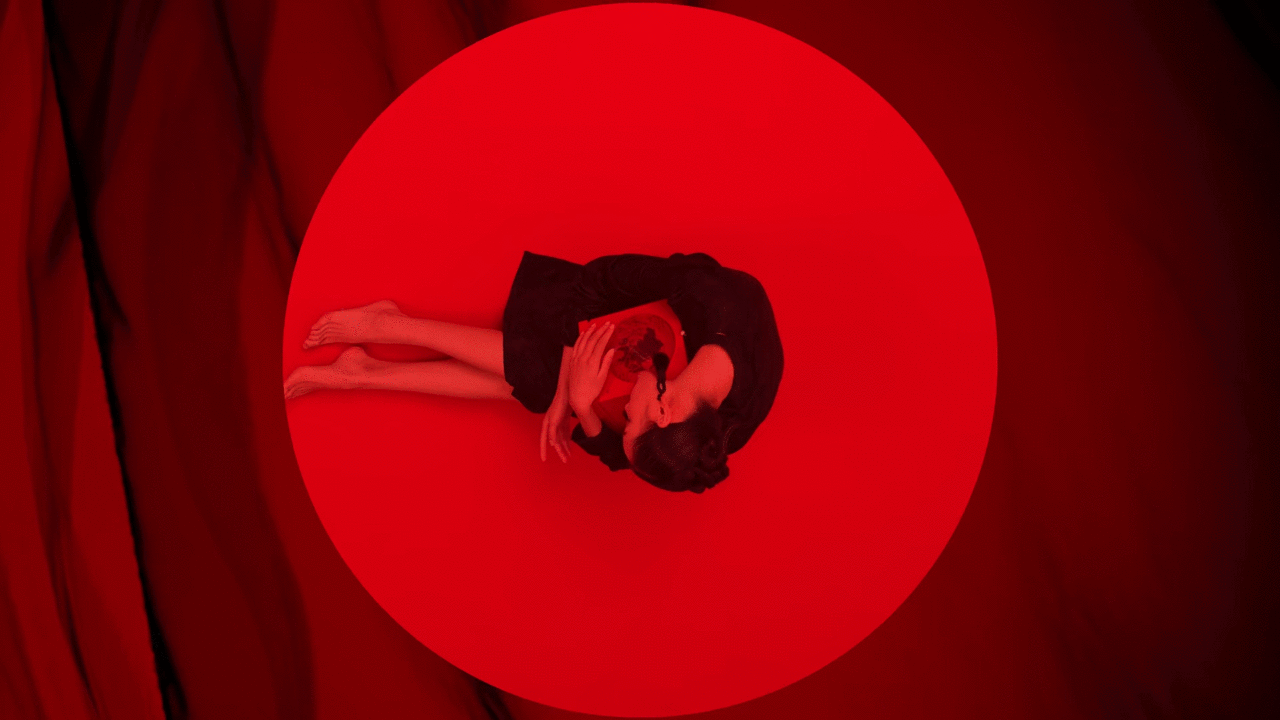 「三草两木唐宫夜宴剪纸限定版」视觉全案