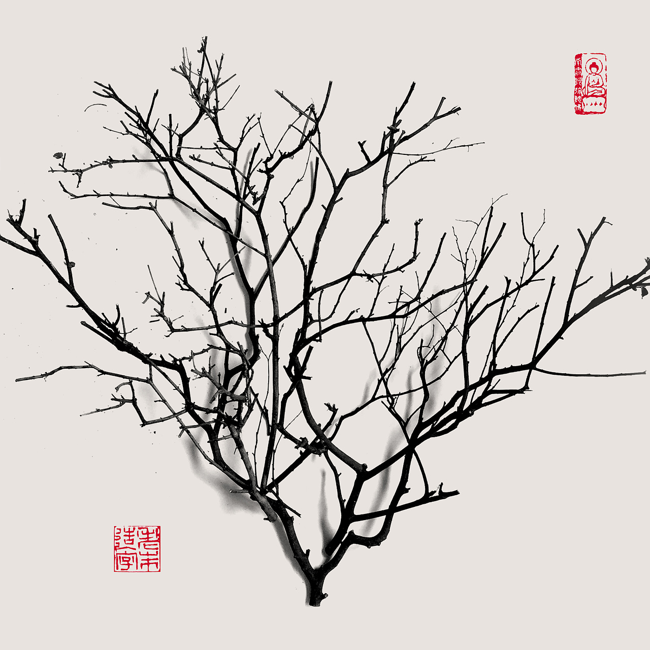 老朱造字心经树枝造字探索