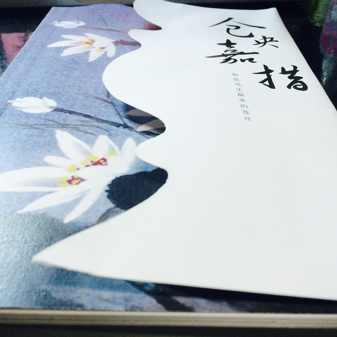 《仓央嘉措》书籍装帧设计(图ZNTEyNjQyODA=) - 书籍/画册 - 站酷设计师Eileen素雪原创素材 - 站酷ZCOOL