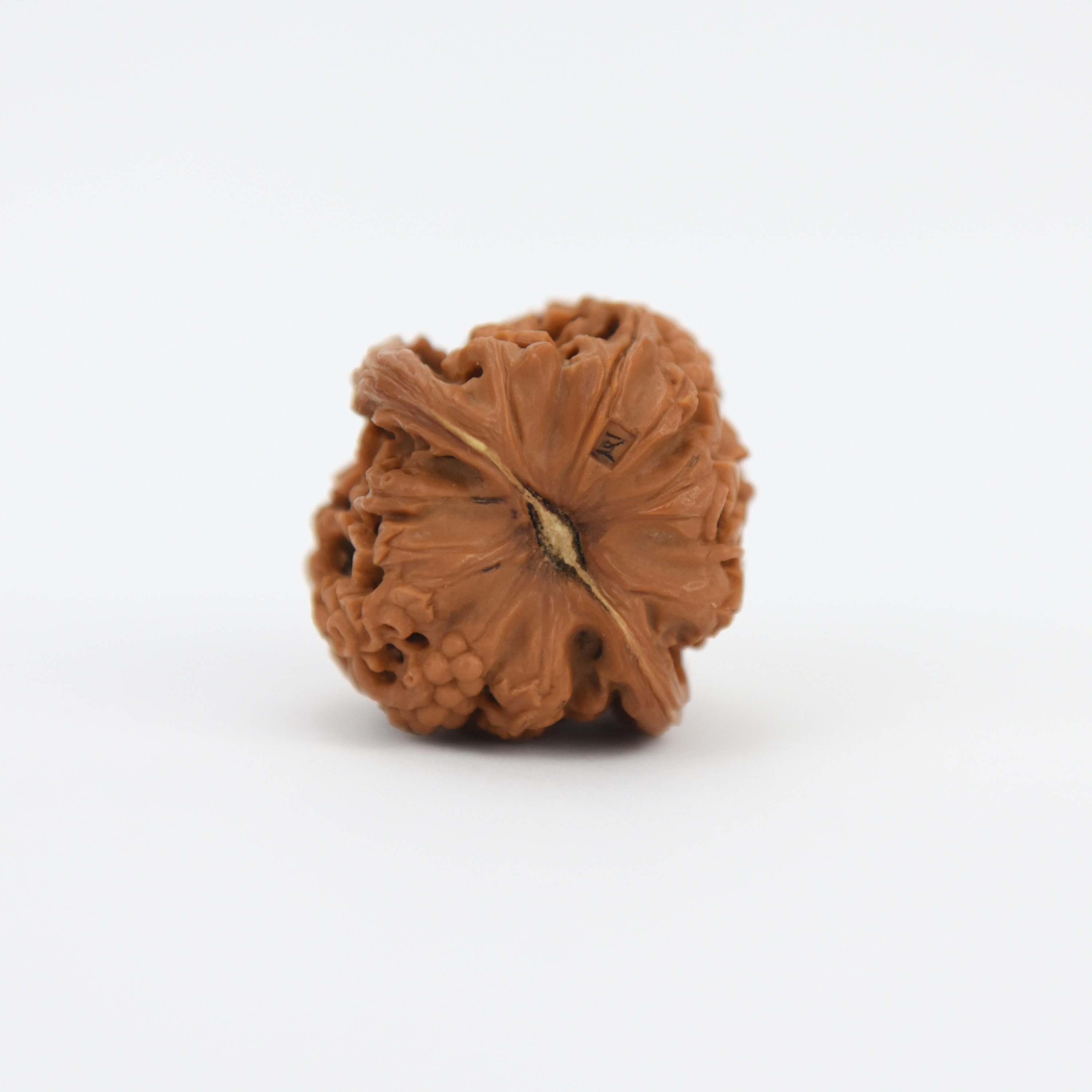 手玩核桃|手工艺|其他手工|舞沐 - 原创作品 - 站酷 (zcool)