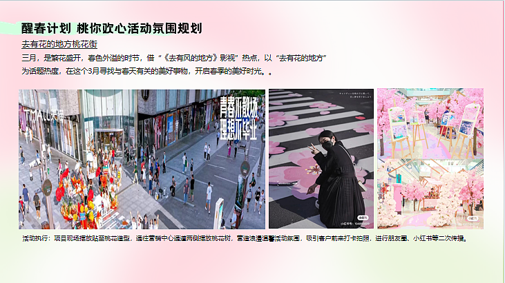 2024醒春计划桃你欢心首届桃花文化节主题活动案-41P