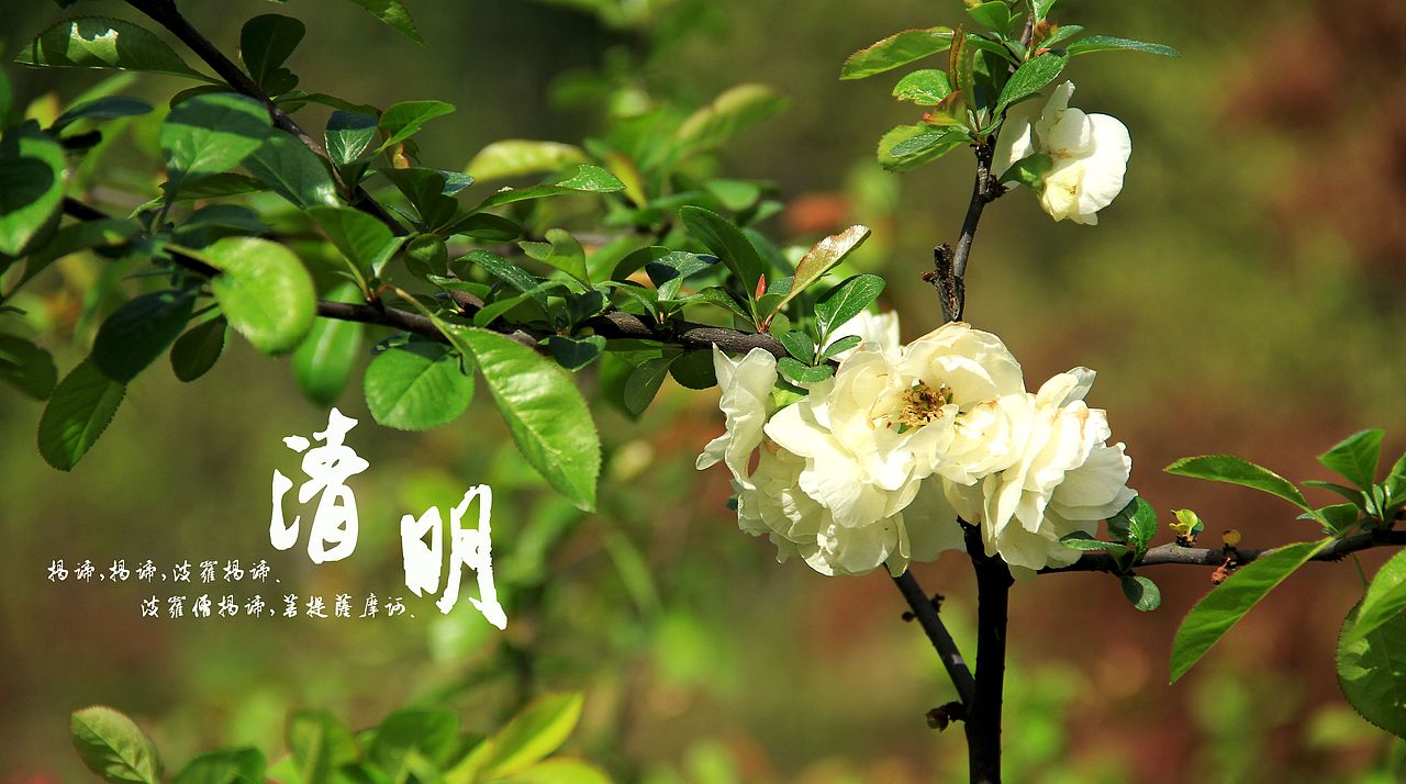 大桥下的石头（图ZODkzMzg4OA==） - 风光摄影 - 站酷设计师半道子原创素材 - 站酷ZCOOL