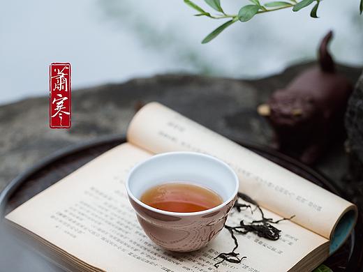 国风静物摄影 | 半壁山房待明月，一盏清茗酬知音