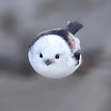 爱喝纯净水222的头像