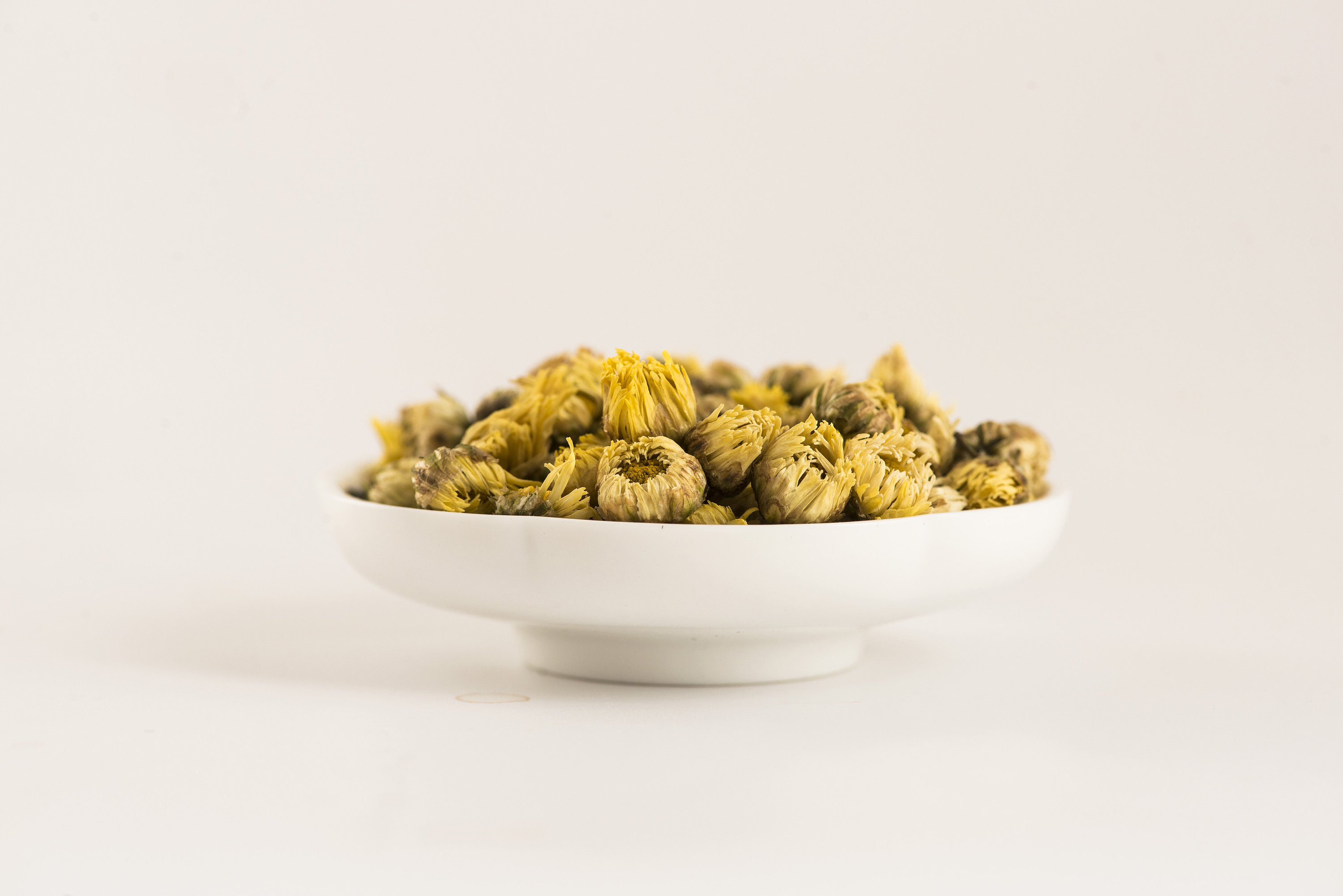 桐乡胎菊拍摄 西湖龙井