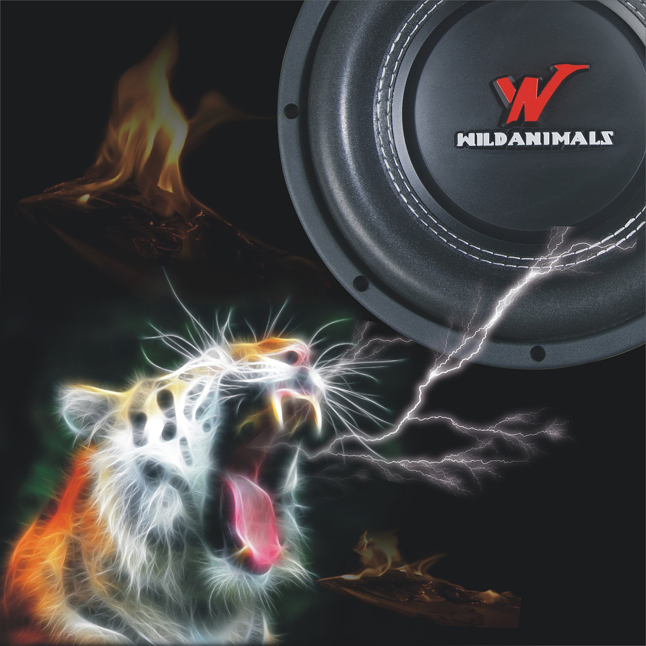 野兽汽车专用音响