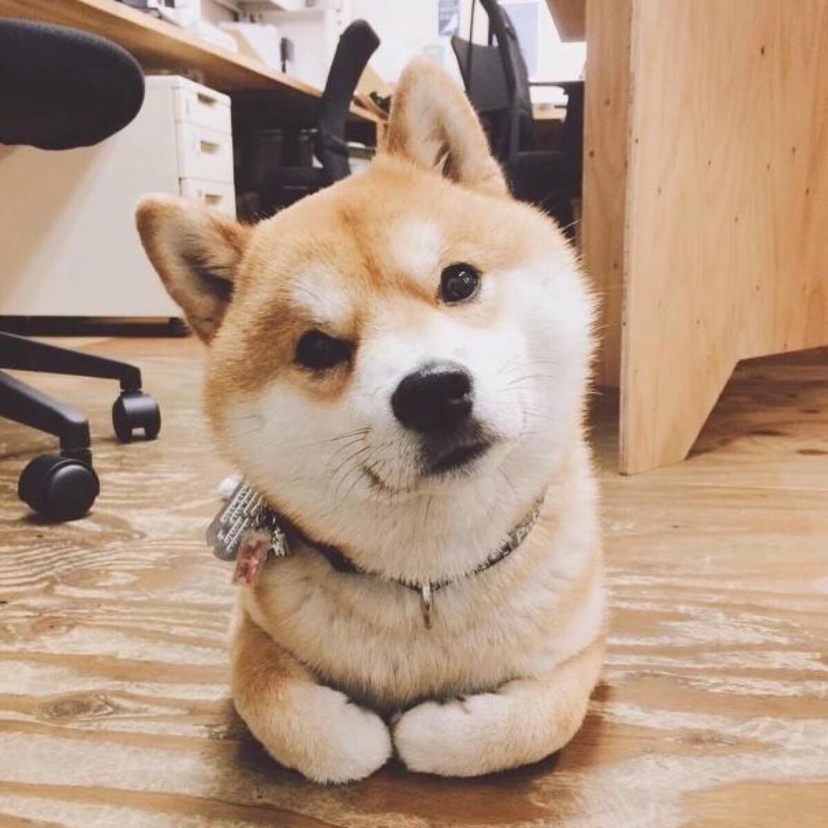 印度阿三哦啦啦的个人主页（封面预览） - 主页封面设置 - 站酷设计师印度阿三哦啦啦原创素材 - 站酷ZCOOL