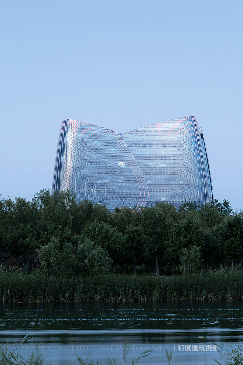 龙子湖上的一朵莲花局外太格茂