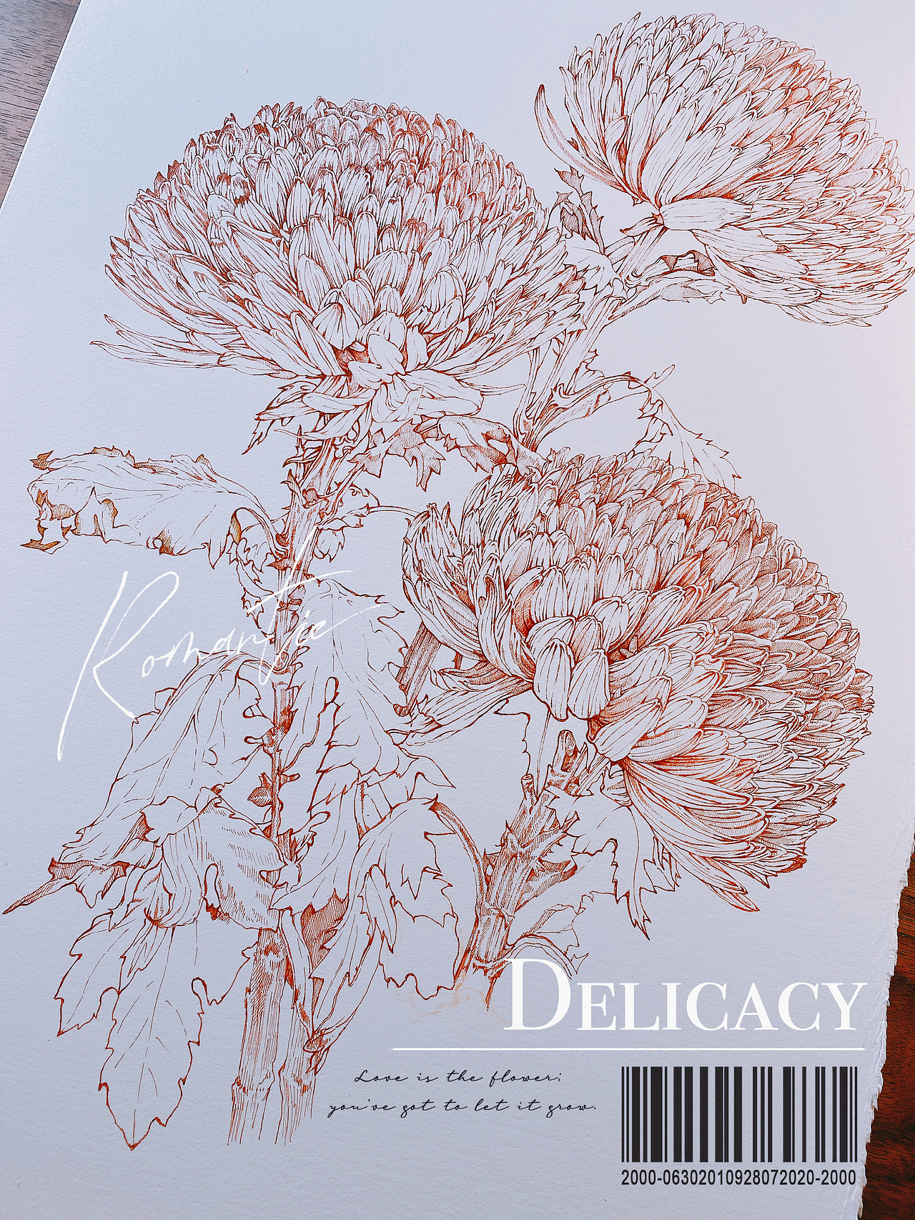 蘸水笔针管笔｜牡丹菊（吸色）