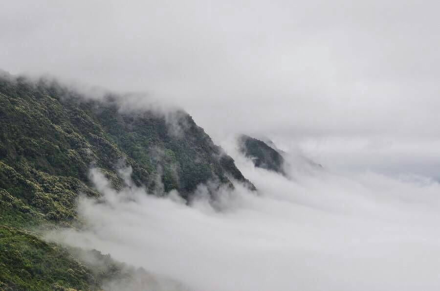 【摄影】从化石门山森林公园（图ZMjc4OTUzODA=） - 风光摄影 - 站酷设计师来一碗红豆粥原创素材 - 站酷ZCOOL