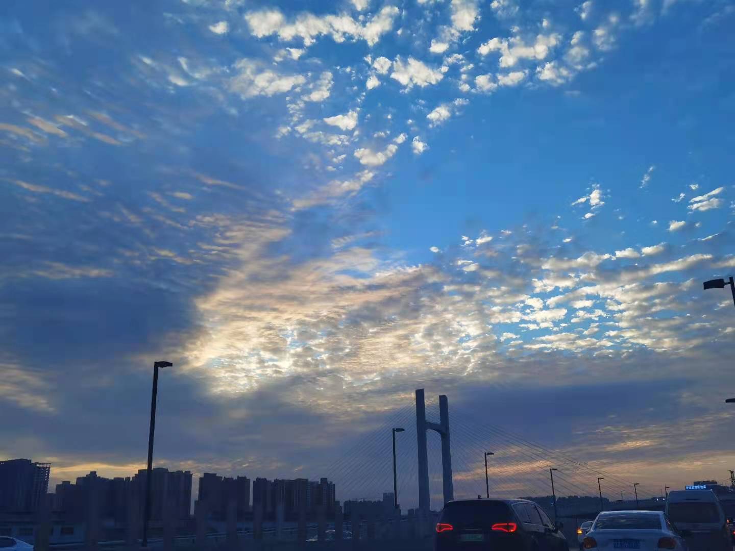 董渣渣的个人主页（背景预览） - 主页背景设置 - 站酷设计师董渣渣原创素材 - 站酷ZCOOL