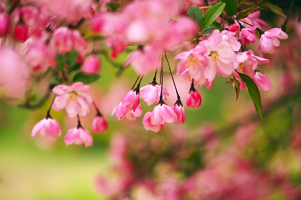 为自己的摄影（六）