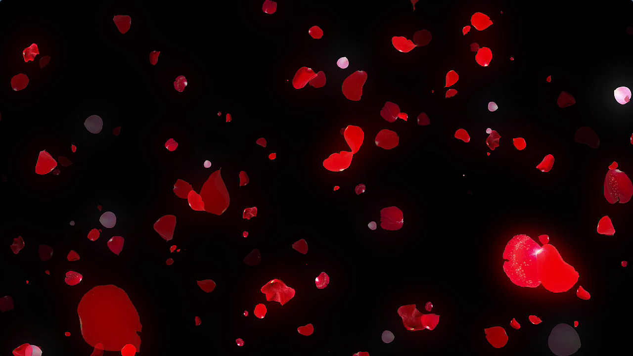 花瓣雨舞台背景（凉凉）