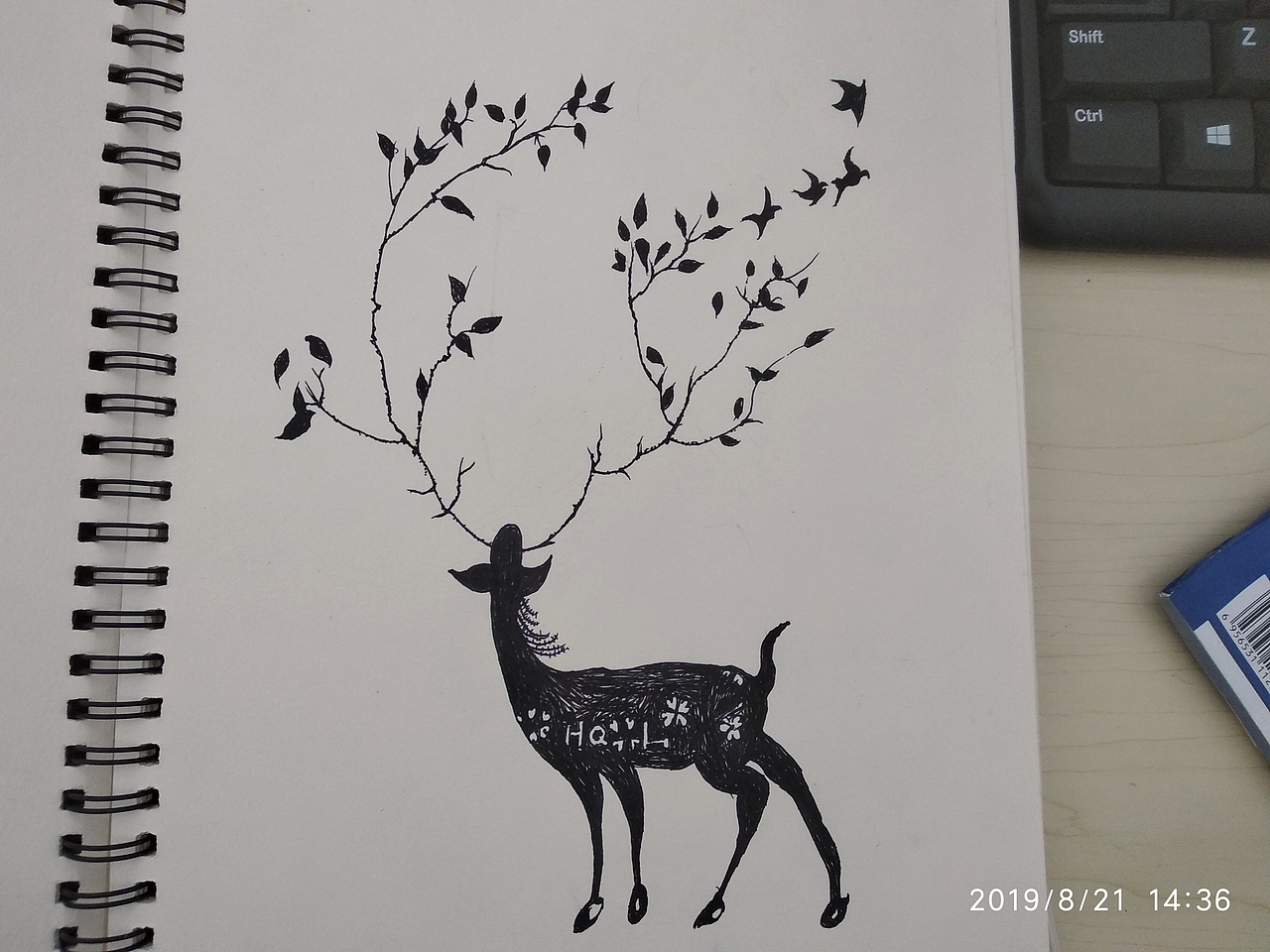 生活有时的专注  