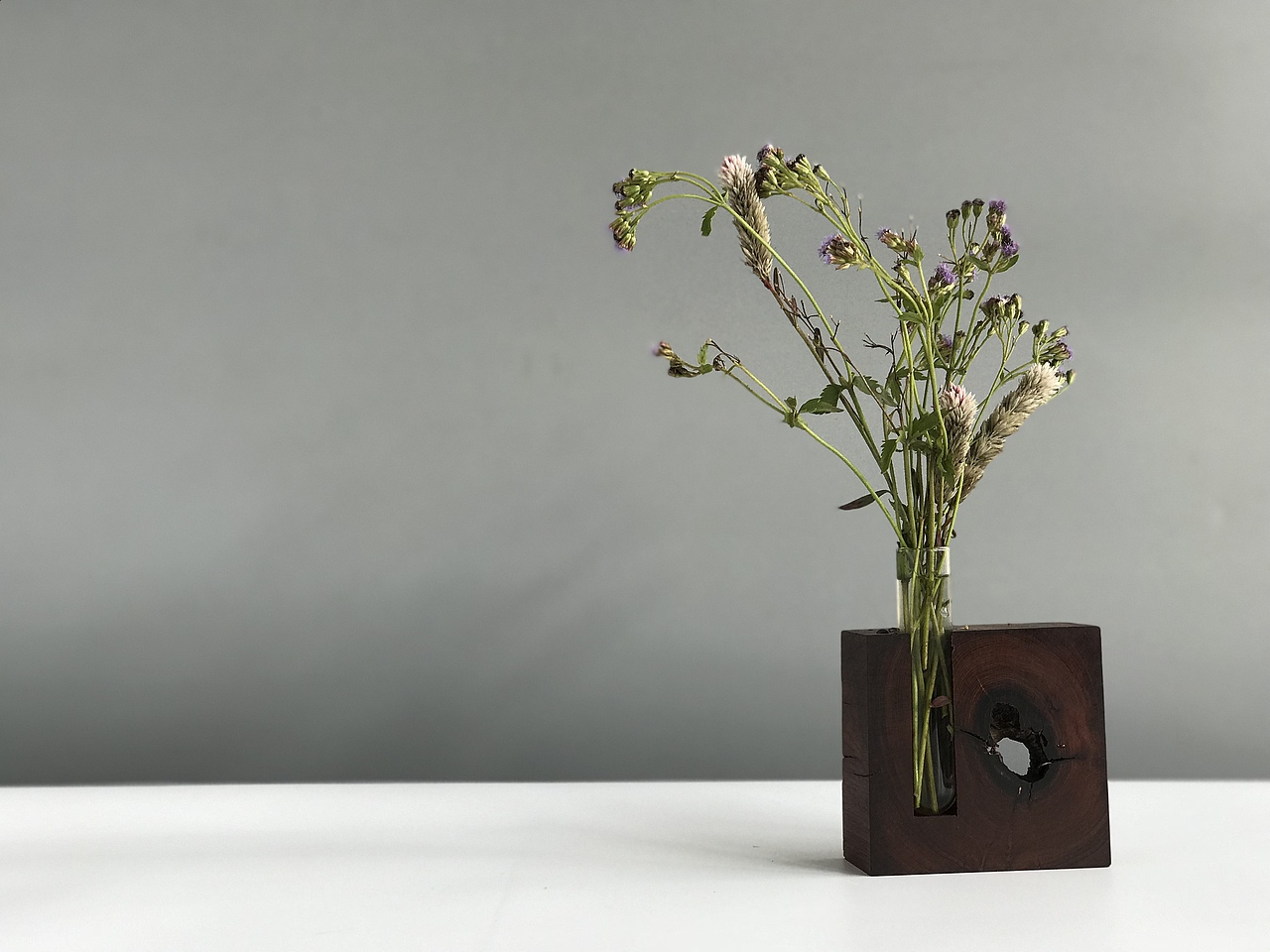 花器 Floral organ（图ZOTg0NTc5OTI=） - 实验艺术 - 站酷设计师谈木集原创素材 - 站酷ZCOOL