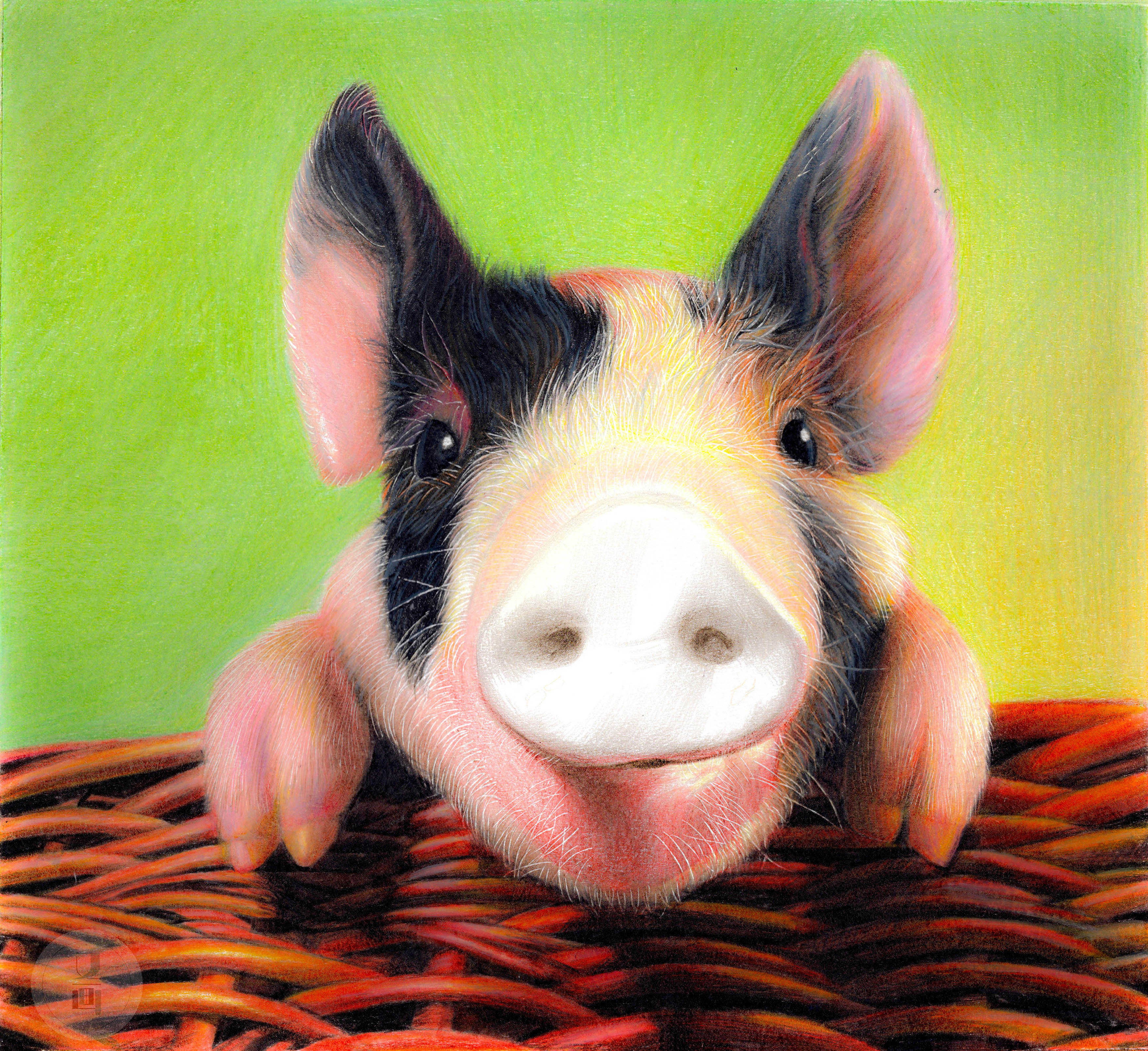 彩铅教程画2019年的第一头猪