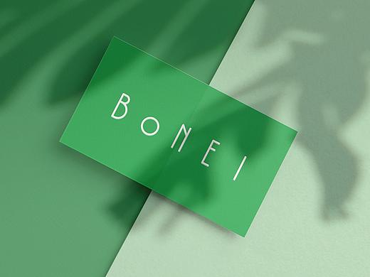 BONEI内衣品牌VI设计