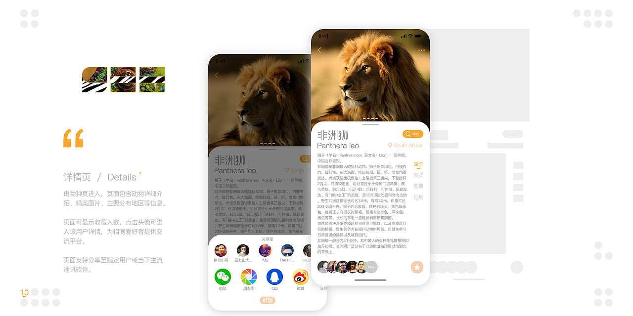 SEE·animal 系列APP设想