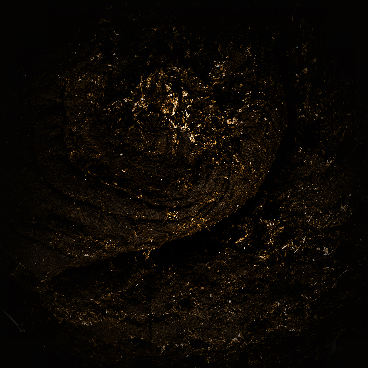 被忽视的自然美（图ZMTI0OTU3NTI0） - 风光摄影 - 站酷设计师Jauver原创素材 - 站酷ZCOOL