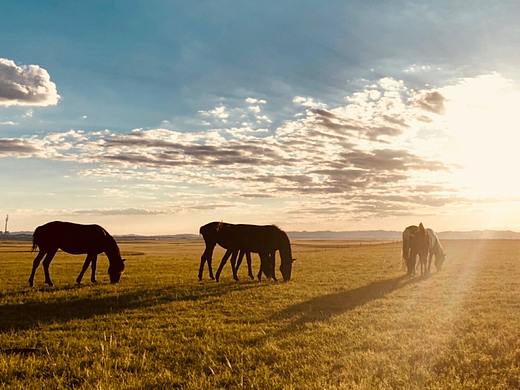 自由（個人主頁-ZMzA5NTU4NDQ=） - 風(fēng)光攝影 - 站酷設(shè)計師MGD_Amber原創(chuàng)素材 - 站酷ZCOOL