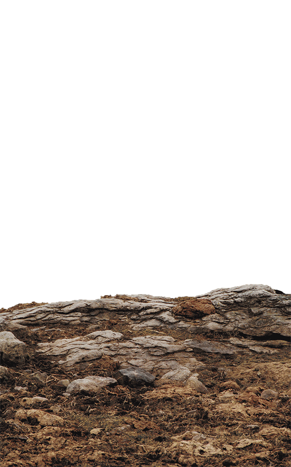 PS合成作品合集