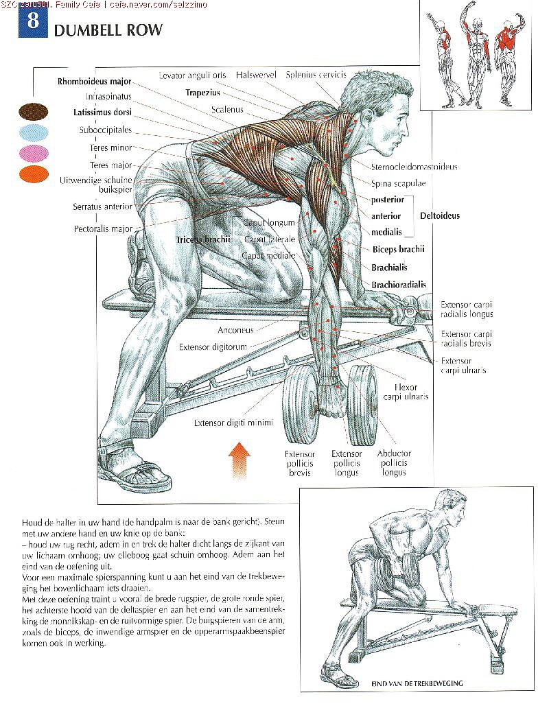 人体运动与肌肉关系-手绘稿