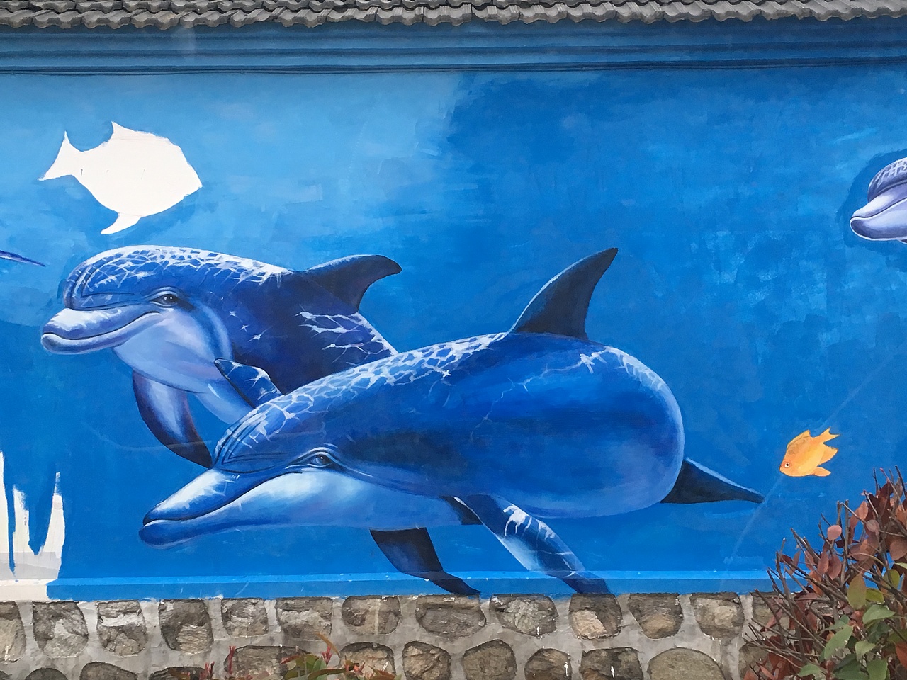 郑州米罗墙绘  海豚墙绘