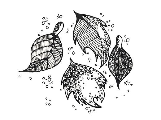 装饰画