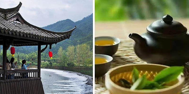悦蝉 · 清露堂-咸阳足浴店设计-筑格中国品牌设计案例（图ZMjIxMjc1MDk2） - 家装设计 - 站酷设计师筑格中国原创素材 - 站酷ZCOOL