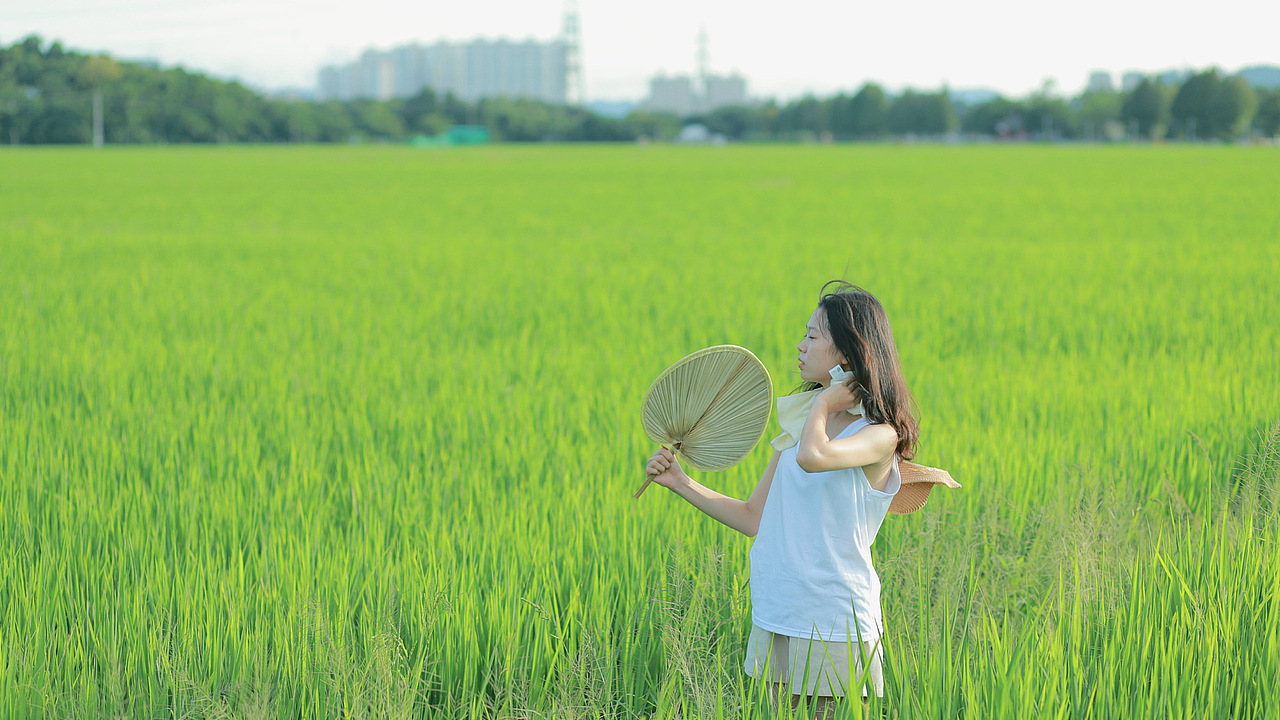 《小森林》——夏日篇