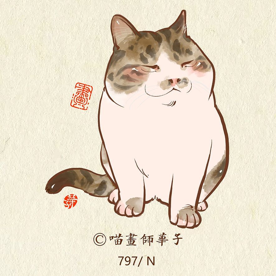 画猫的第三季150天,837天的画猫纪录