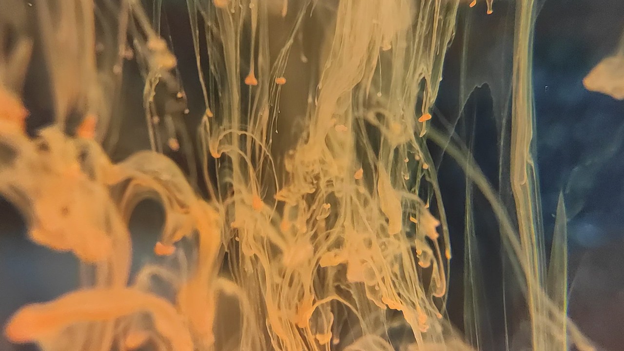 色彩实验——“色即是空”(小组作业)
