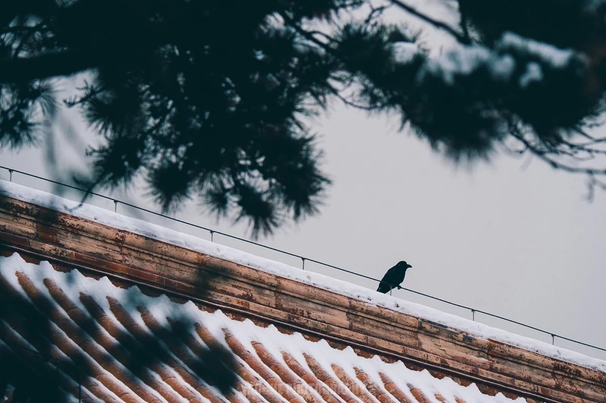 风景（图ZOTQ0MjM3MjA=） - 风光摄影 - 站酷设计师姚澈Cheyo原创素材 - 站酷ZCOOL