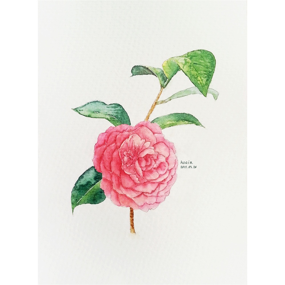 潮州|设计爱好者oaim342427年前