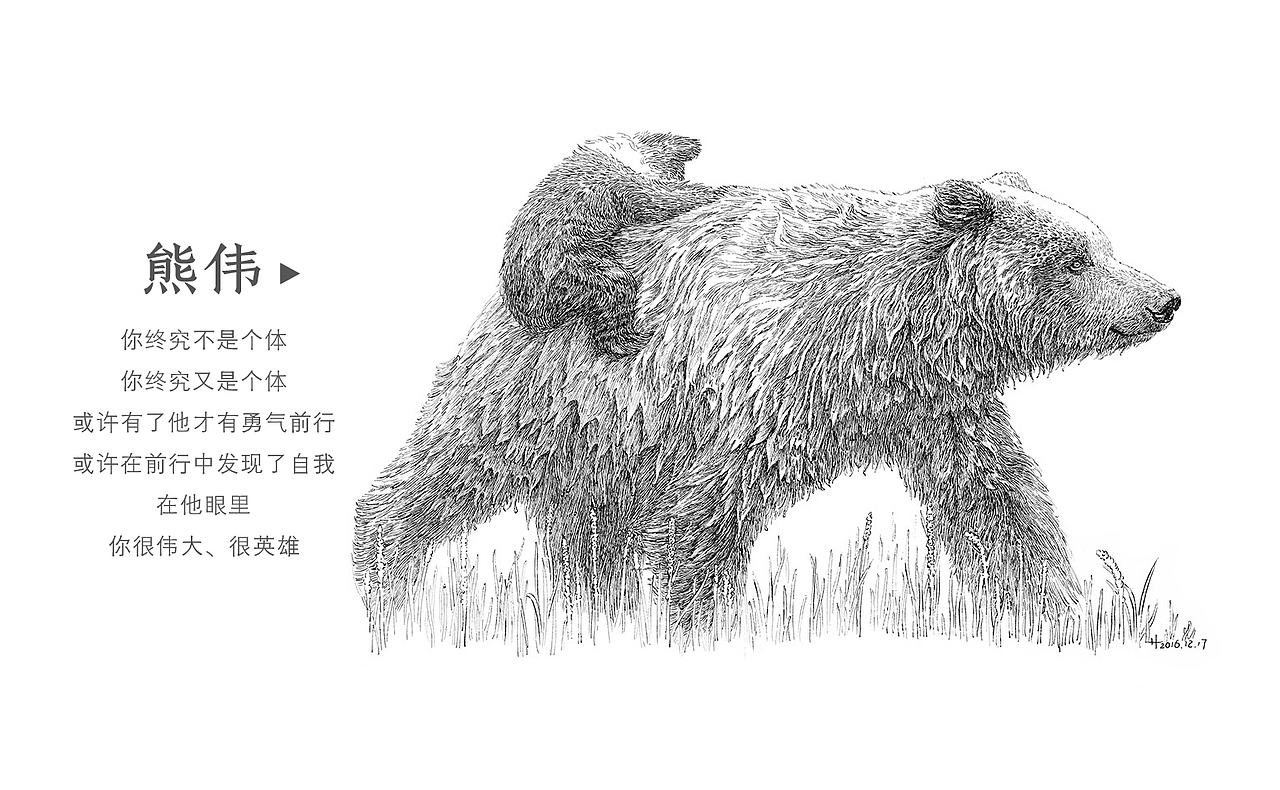 熊风依旧（图ZNjk5MDc5NzY=） - 创作习作 - 站酷设计师半毫米原创素材 - 站酷ZCOOL