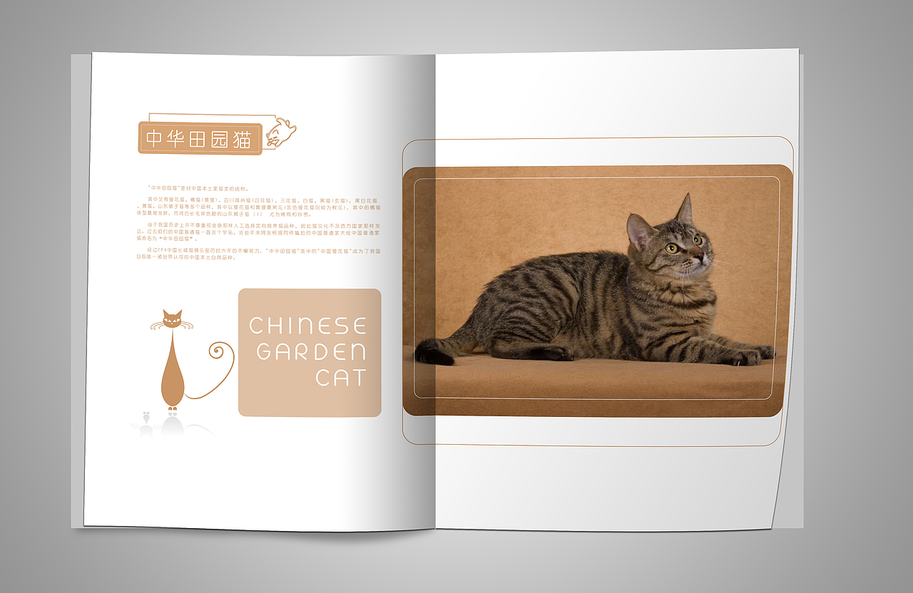 平面：宠物画册（图ZMTQzMzc0MjU2） - 书籍/画册 - 站酷设计师曾小香原创素材 - 站酷ZCOOL