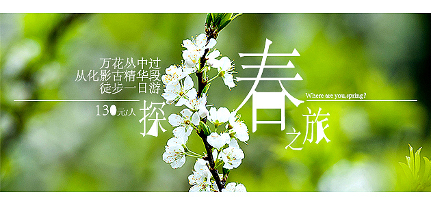 旅行社banner图（图ZMTY1OTMyMjUy） - 运营设计 - 站酷设计师墨浅颜丶原创素材 - 站酷ZCOOL